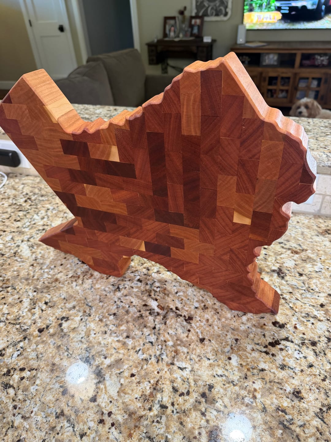 Customer photo review of Unfinished Wood Texas Outline Shape | DIY Craft Cutout | up to 46" DIY