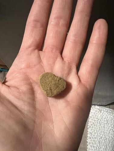 Customer photo review of תוסף תזונה לכלבים עם עור רגיש וגירודים