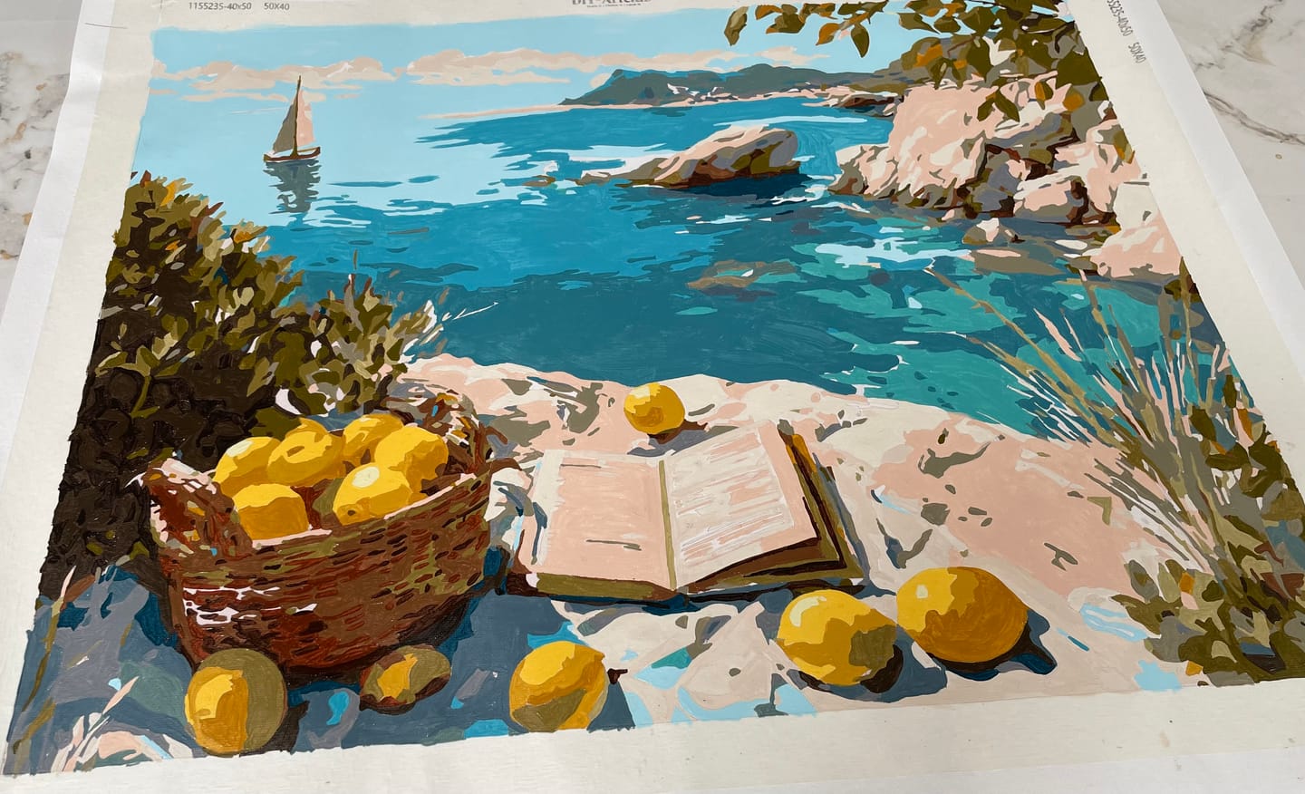 Customer photo review of Lemons by the Sea | Paint by Number