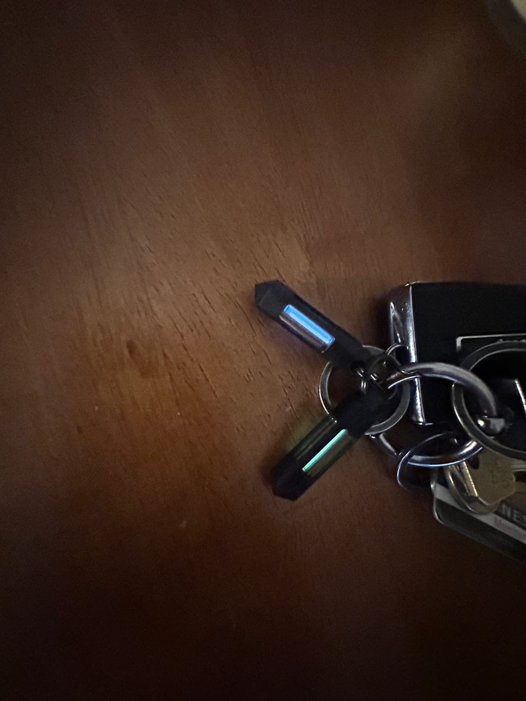 Customer photo review of Tritium Glow Fob