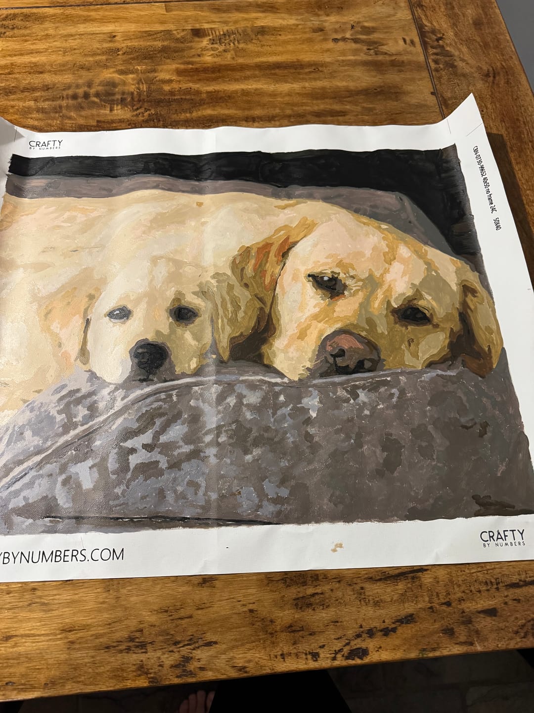 Customer photo review of Custom Paint by Numbers Kit