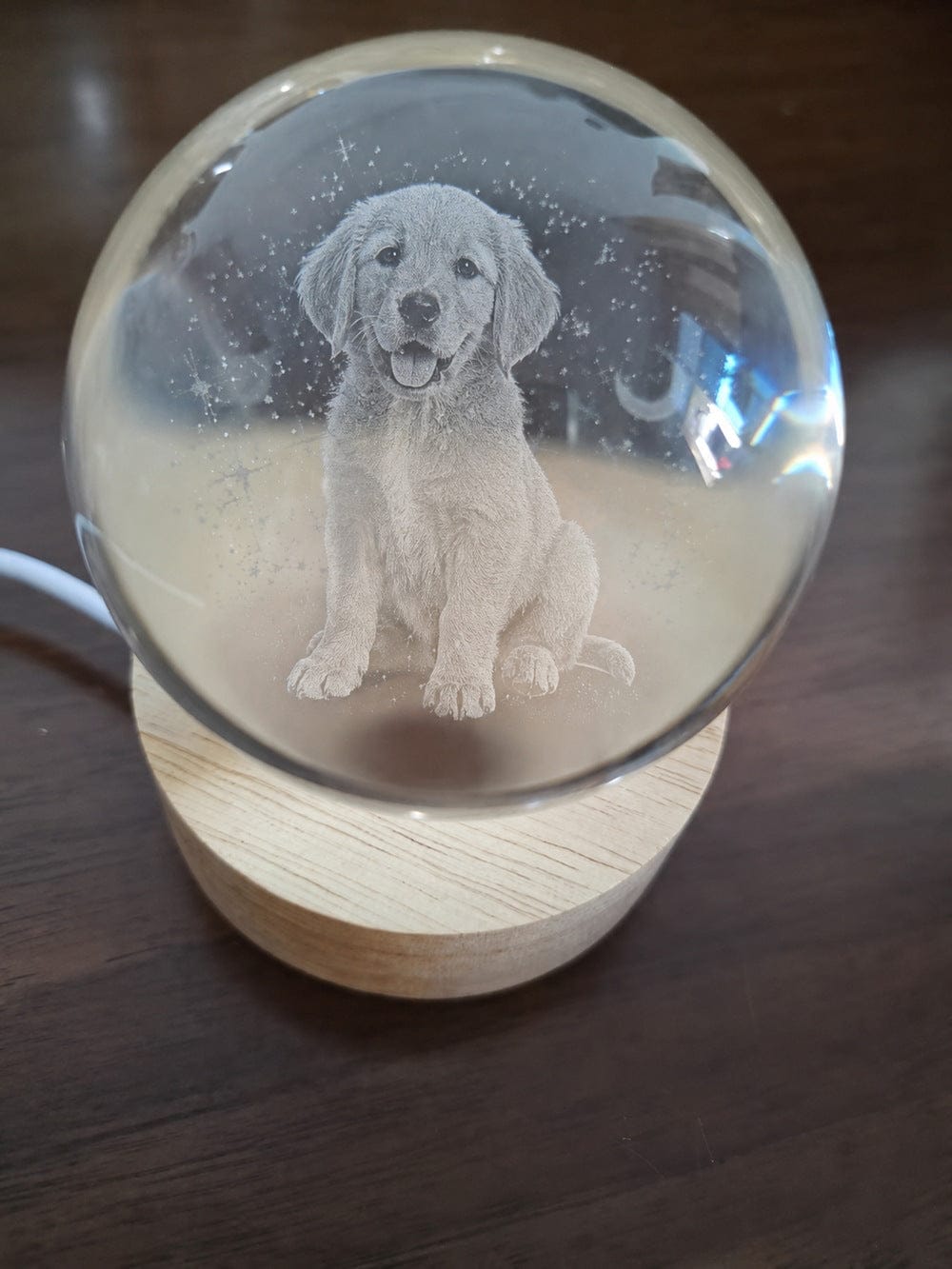 Customer photo review of 3D Pet Portrait Sculpting Crystal Night Light