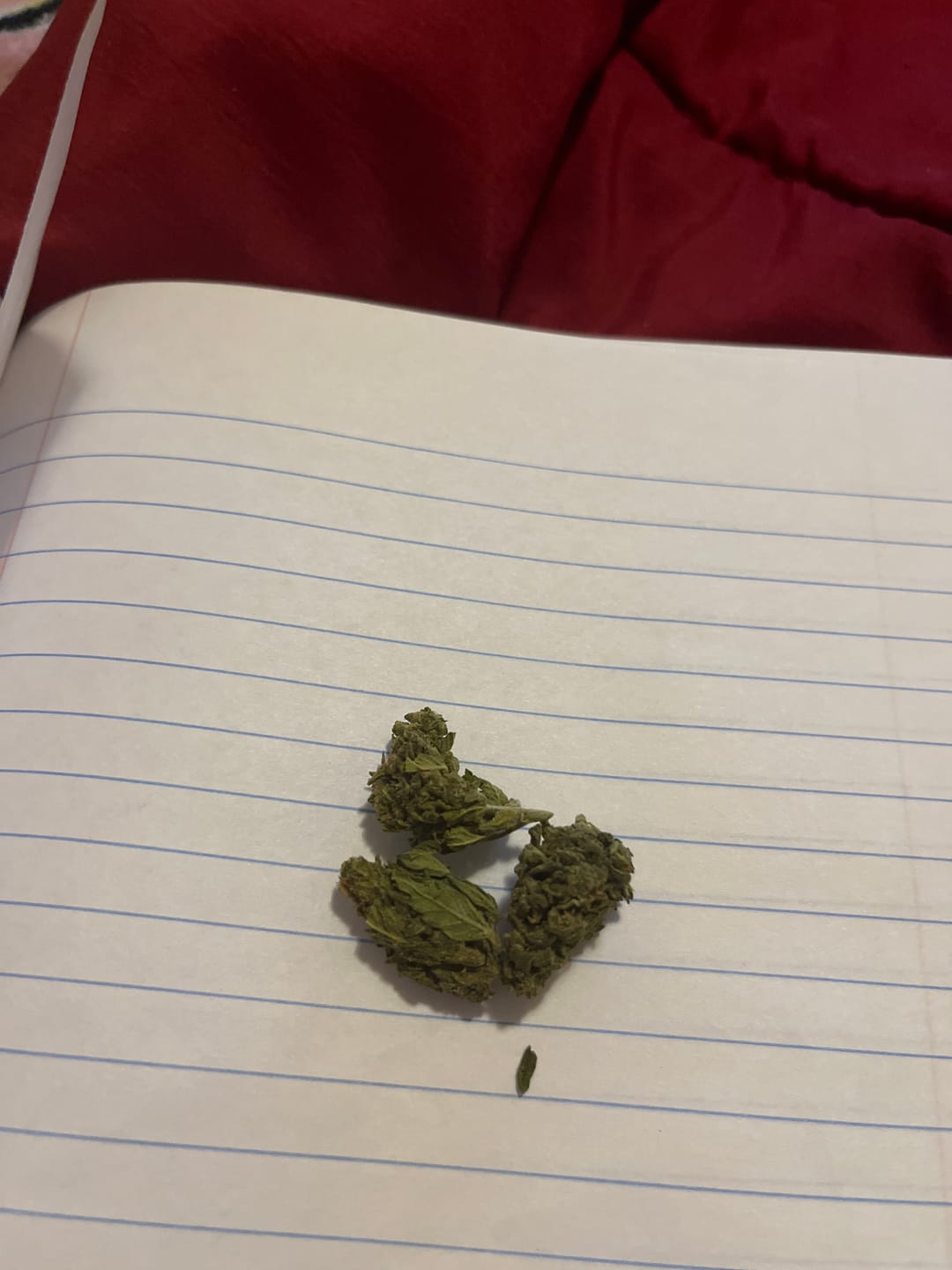 Customer photo review of Blueberry Zkittlez - 28 Grams - Indica