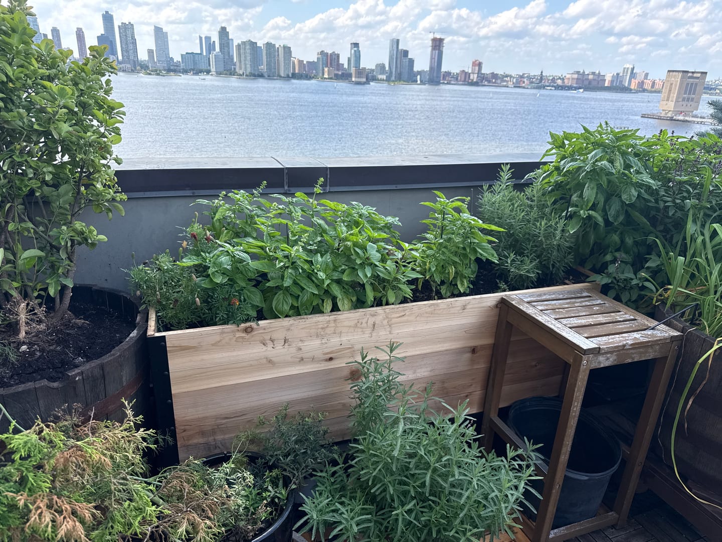 Customer photo review of 18″ x 60″ Deep Root Raised Garden Bed - 30″ TALL / Select Grade