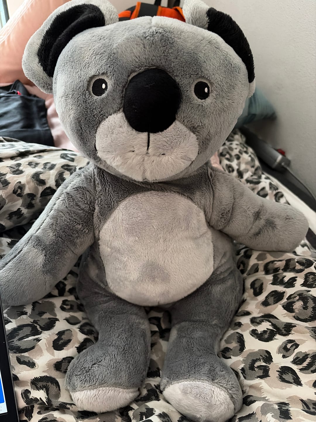 Customer photo review of Lotgenootje Koala 2kg