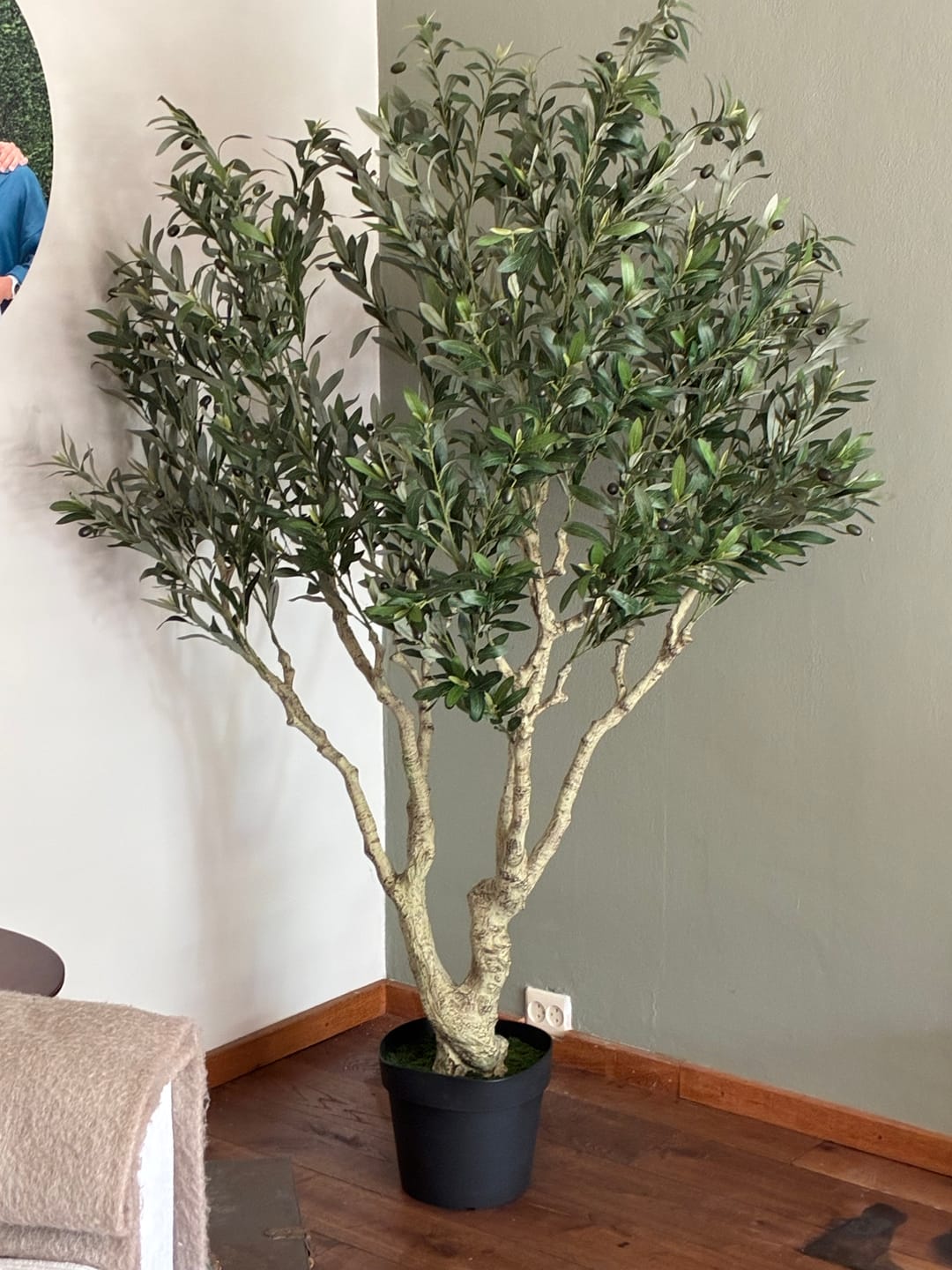 Customer photo review of Kunst Olijfboom 190cm