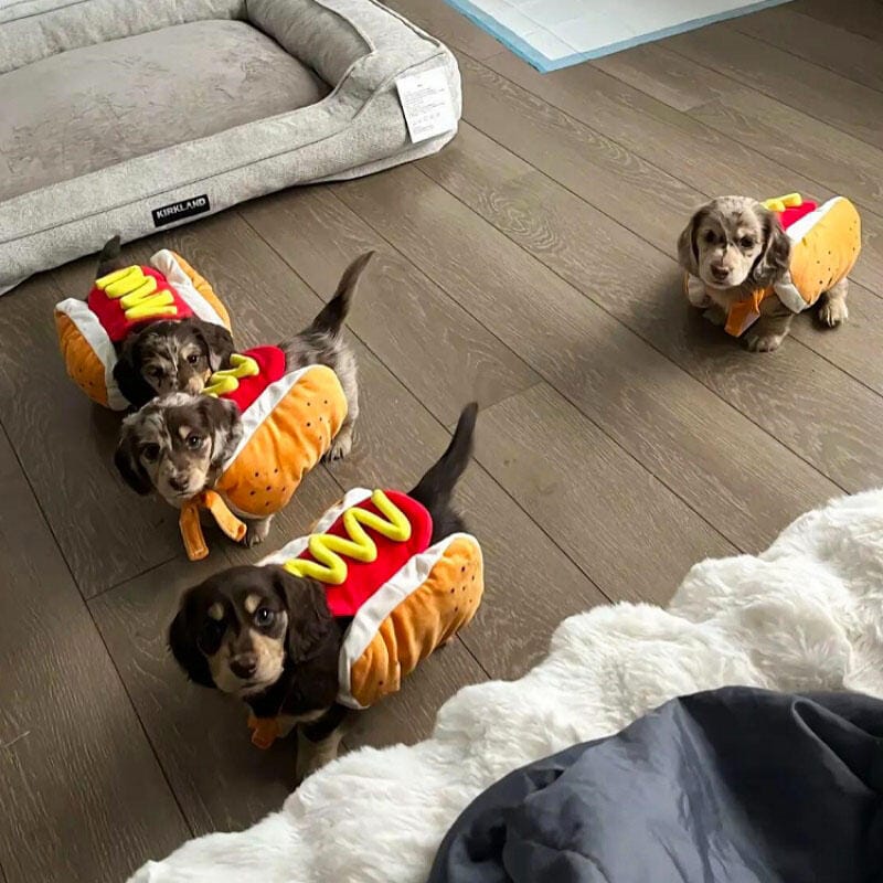 Customer photo review of Sausage Adjustable Costume Suit