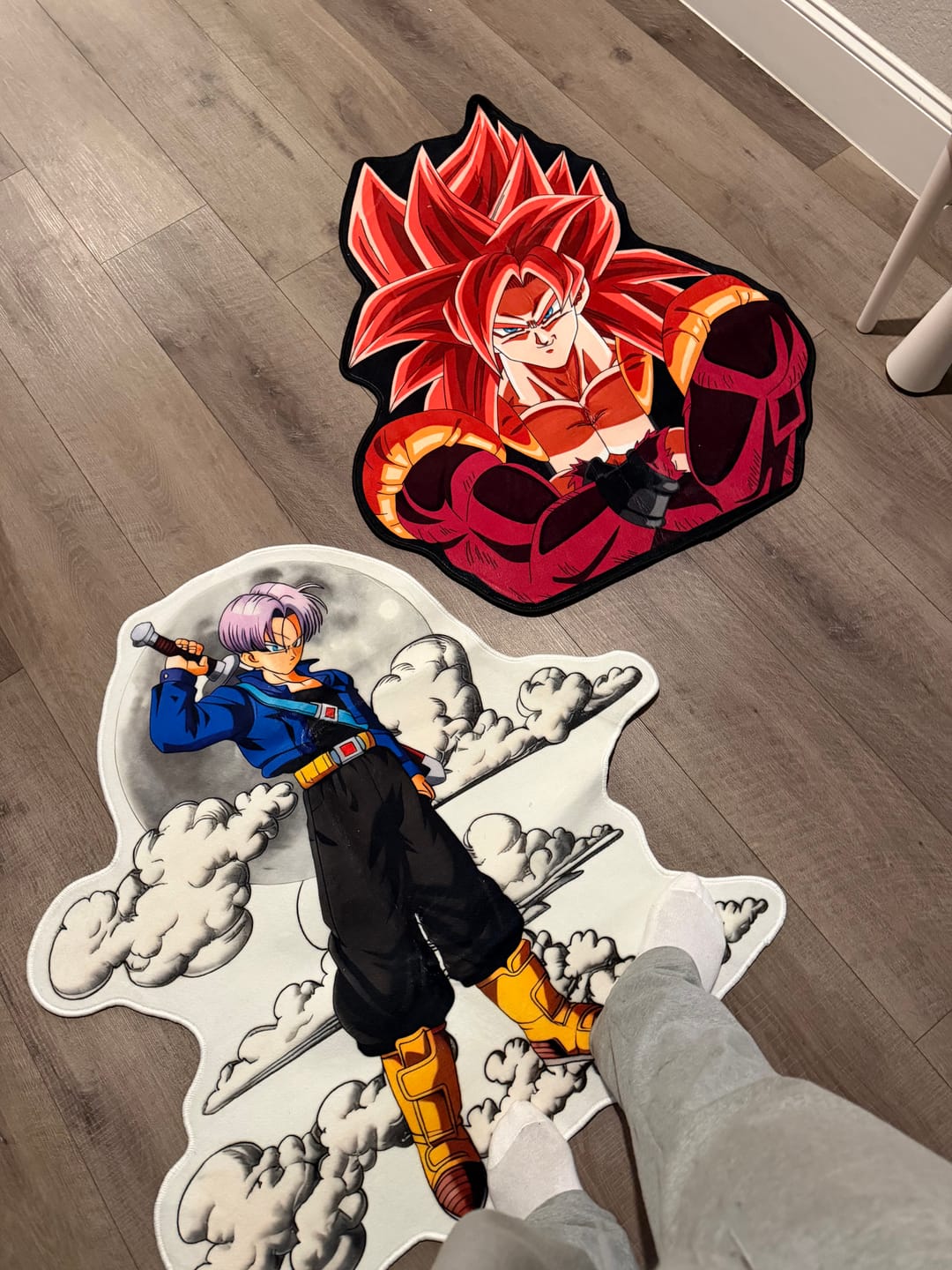 Customer photo review of Future Trunks Ⅲ