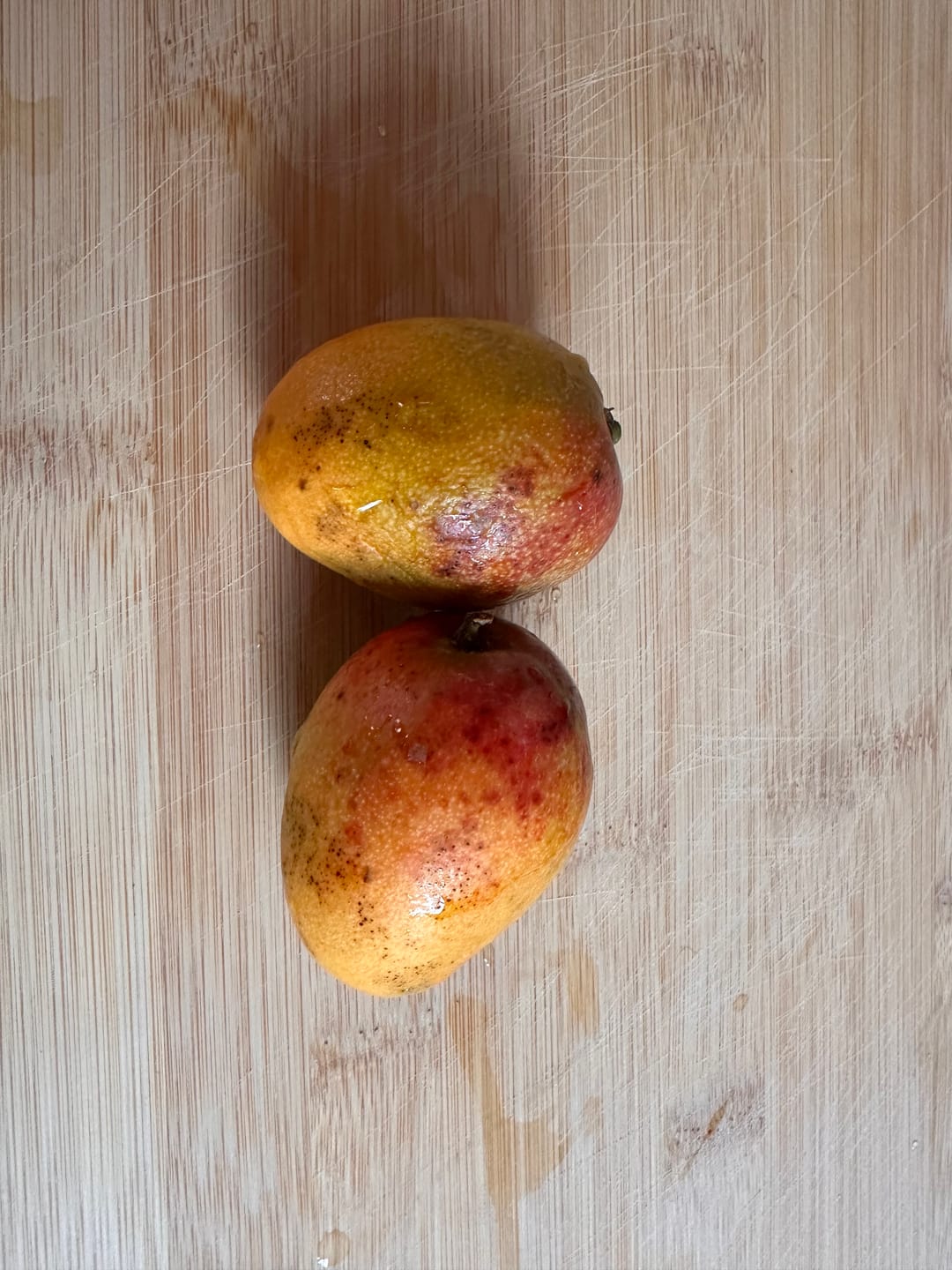 Customer photo review of Baby-Mango Mix "Wild Wonders" von Julian