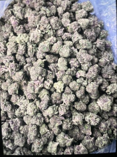 Gelato Kush Mediums - Bulk Mediums - Indica photo review