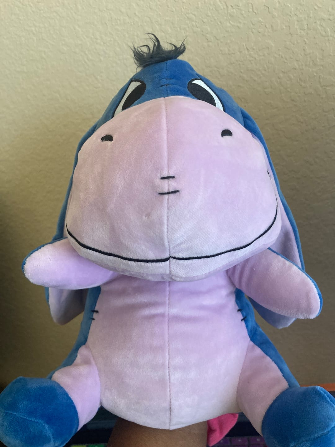 Customer photo review of Eeyore Headcovers
