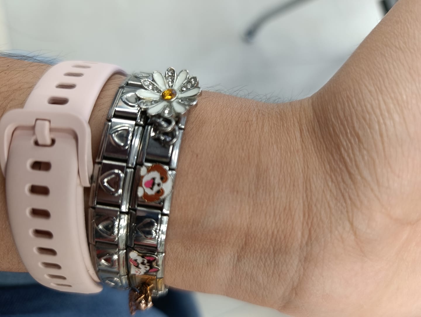 Customer photo review of Charm Perro Shih Tzu