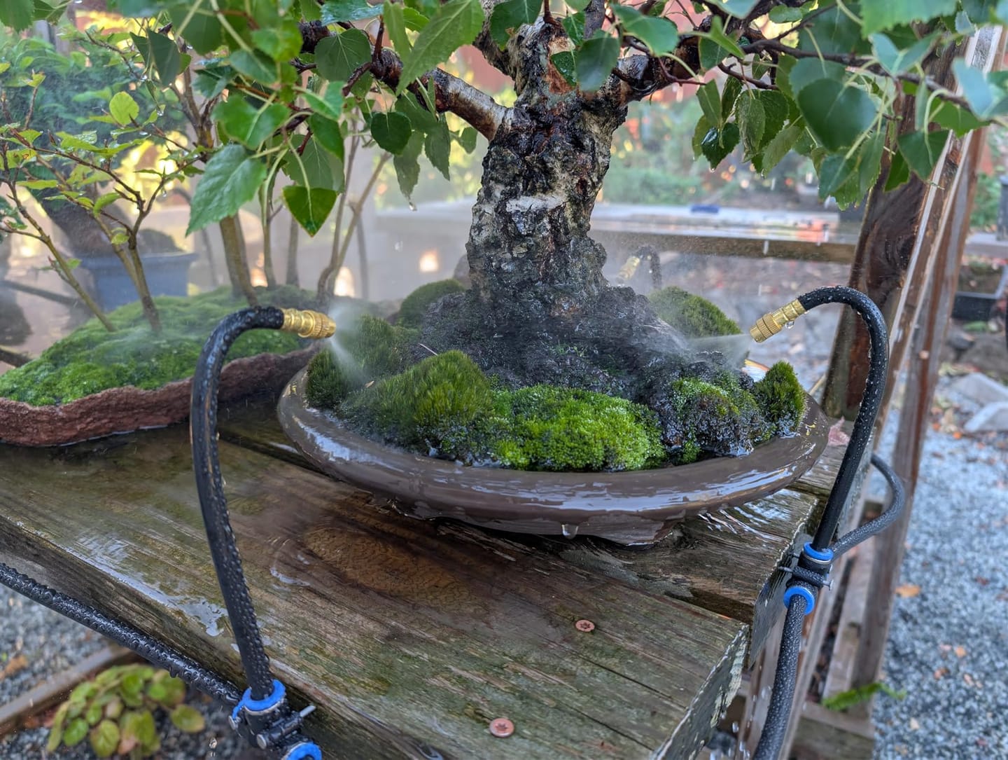 Customer photo review of HydraMist - 360 Flexible Garden Irrigation Kit