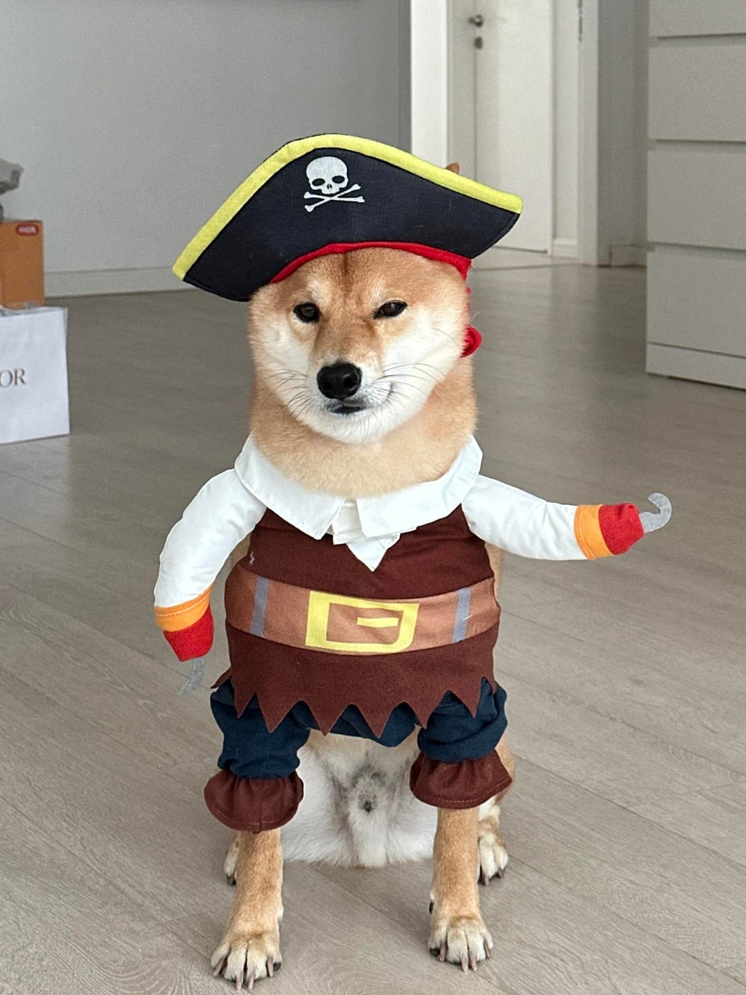 Customer photo review of Costume Pirates of The Caribbean Style