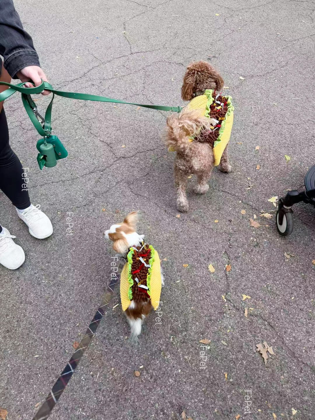 Customer photo review of Taco Costume Halloween