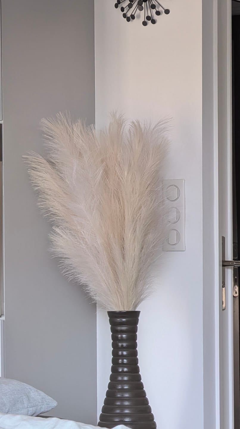 Customer photo review of Pampas 110cm (3 tiges)- Beige