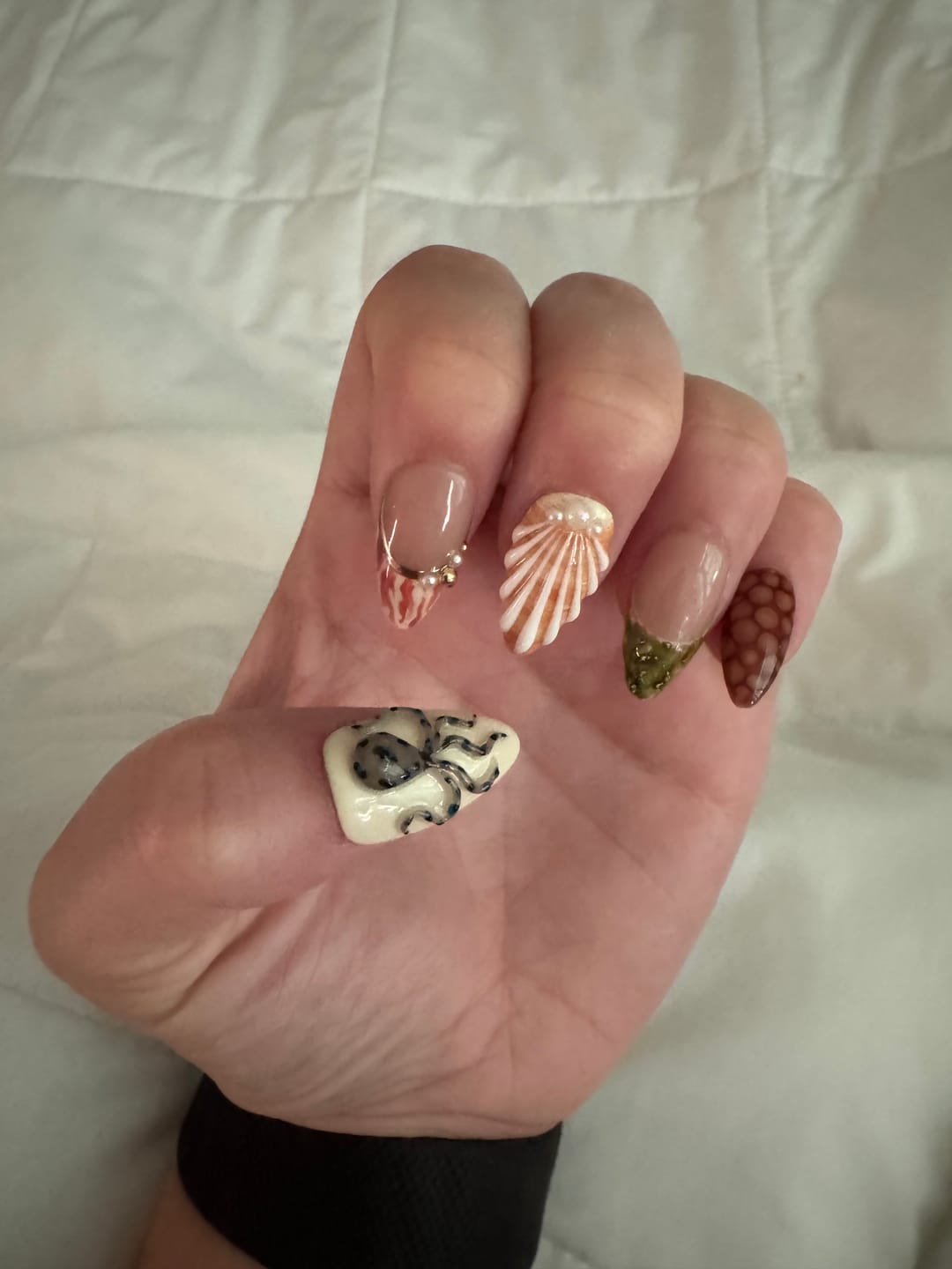 Customer photo review of Shell Seeker