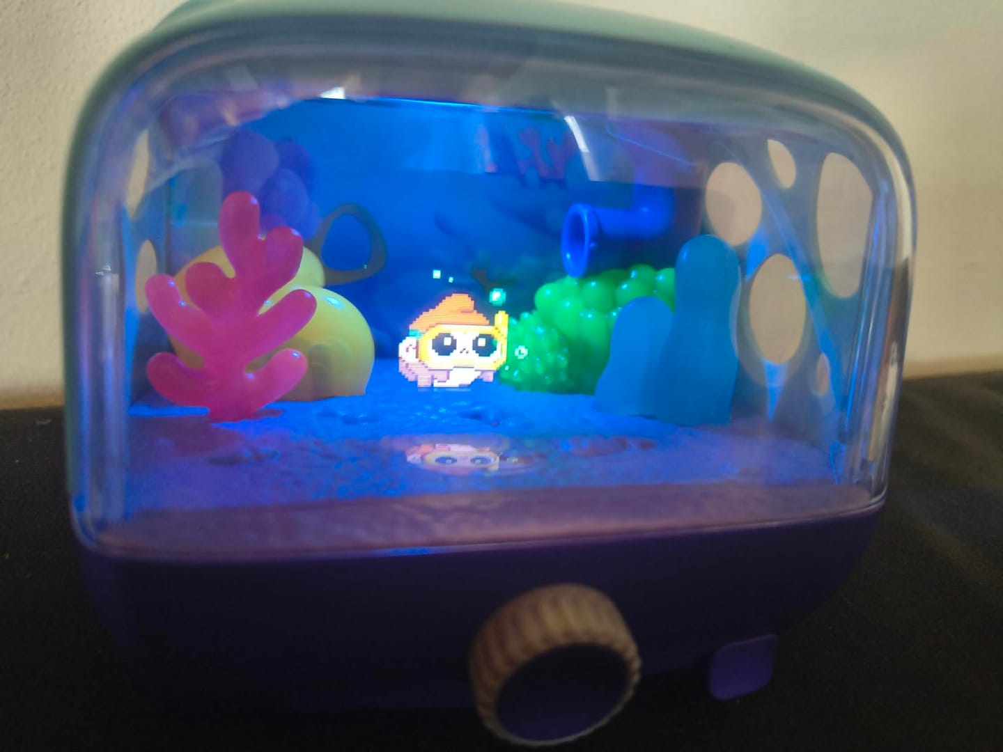 Customer photo review of Bitzee Aquarium Fish Tank