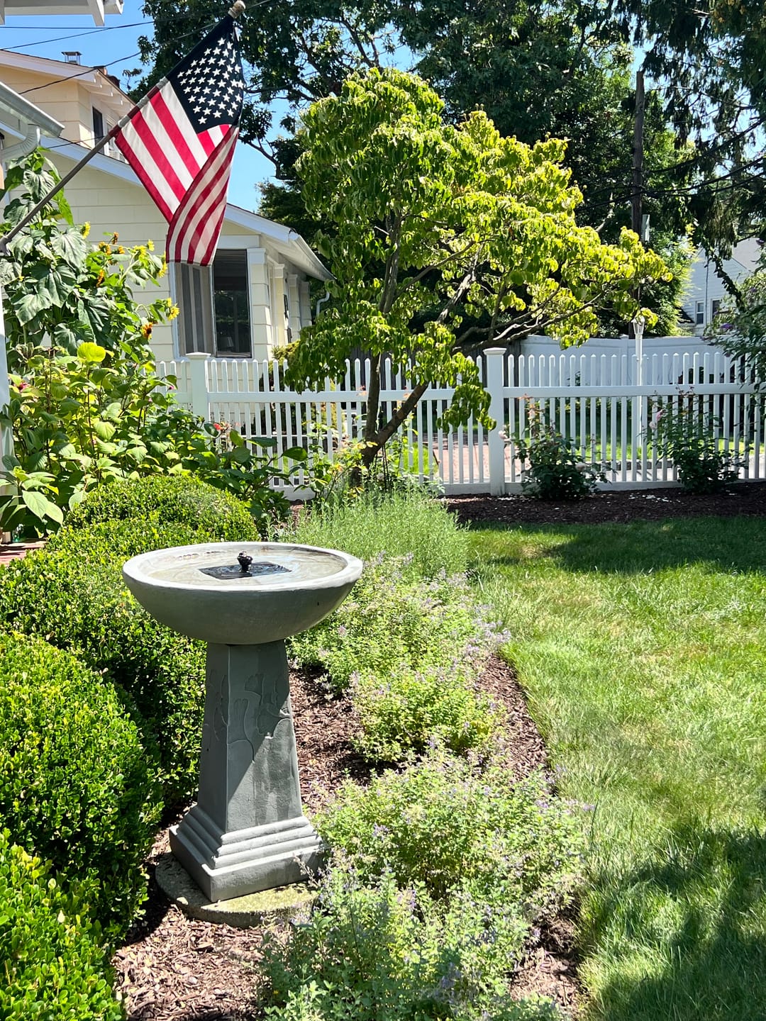 Customer photo review of Ginko Tall Solar Bird Bath