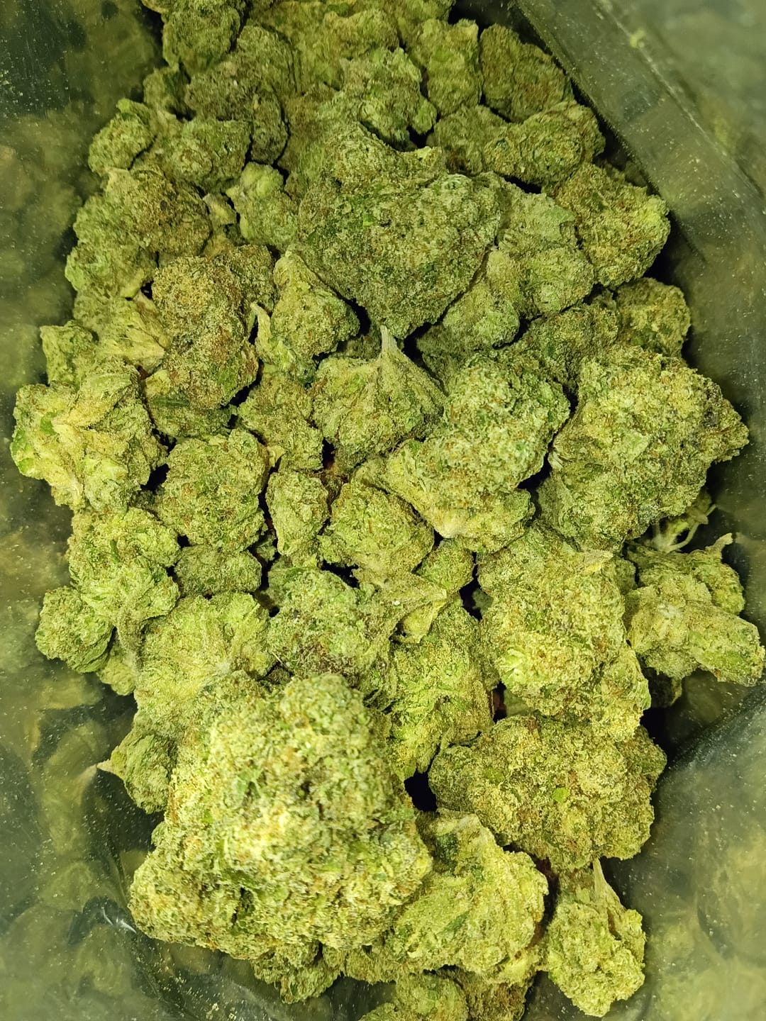 Customer photo review of Blue Nerdz Light Assist THCA