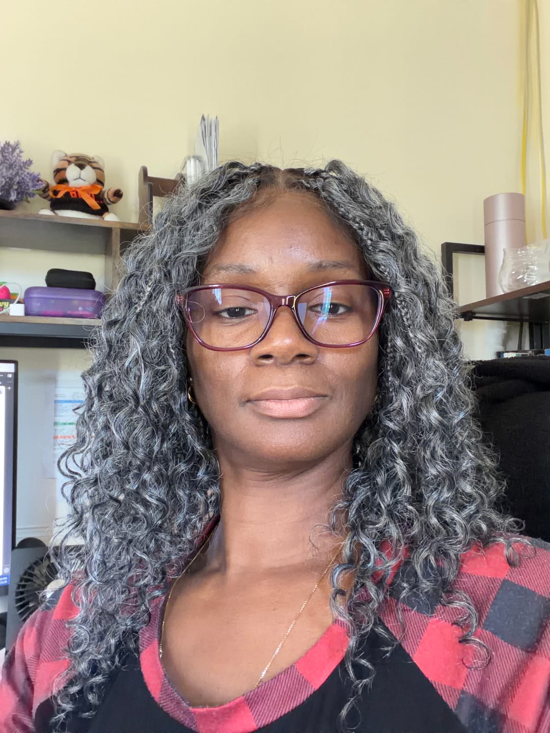 Customer photo review of Nami 18" - JALIZA Slip-On™ Salt & Pepper Water Wave Boho Box Braided Wig