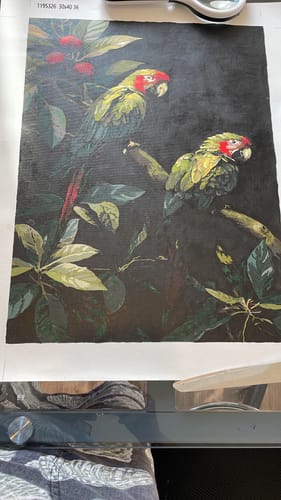 Customer photo review of Macaws on a Branch (Paint by Numbers)