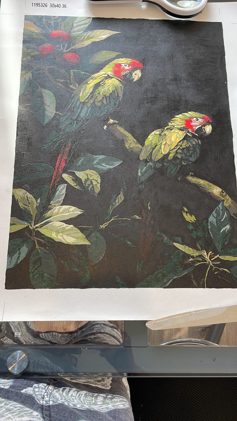 Customer photo review of Macaws on a Branch (Paint by Numbers)
