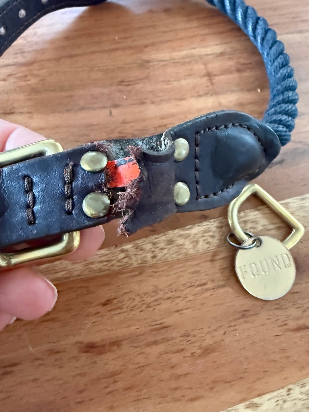 Customer photo review of Navy Rope & Leather Cat & Dog Collar
