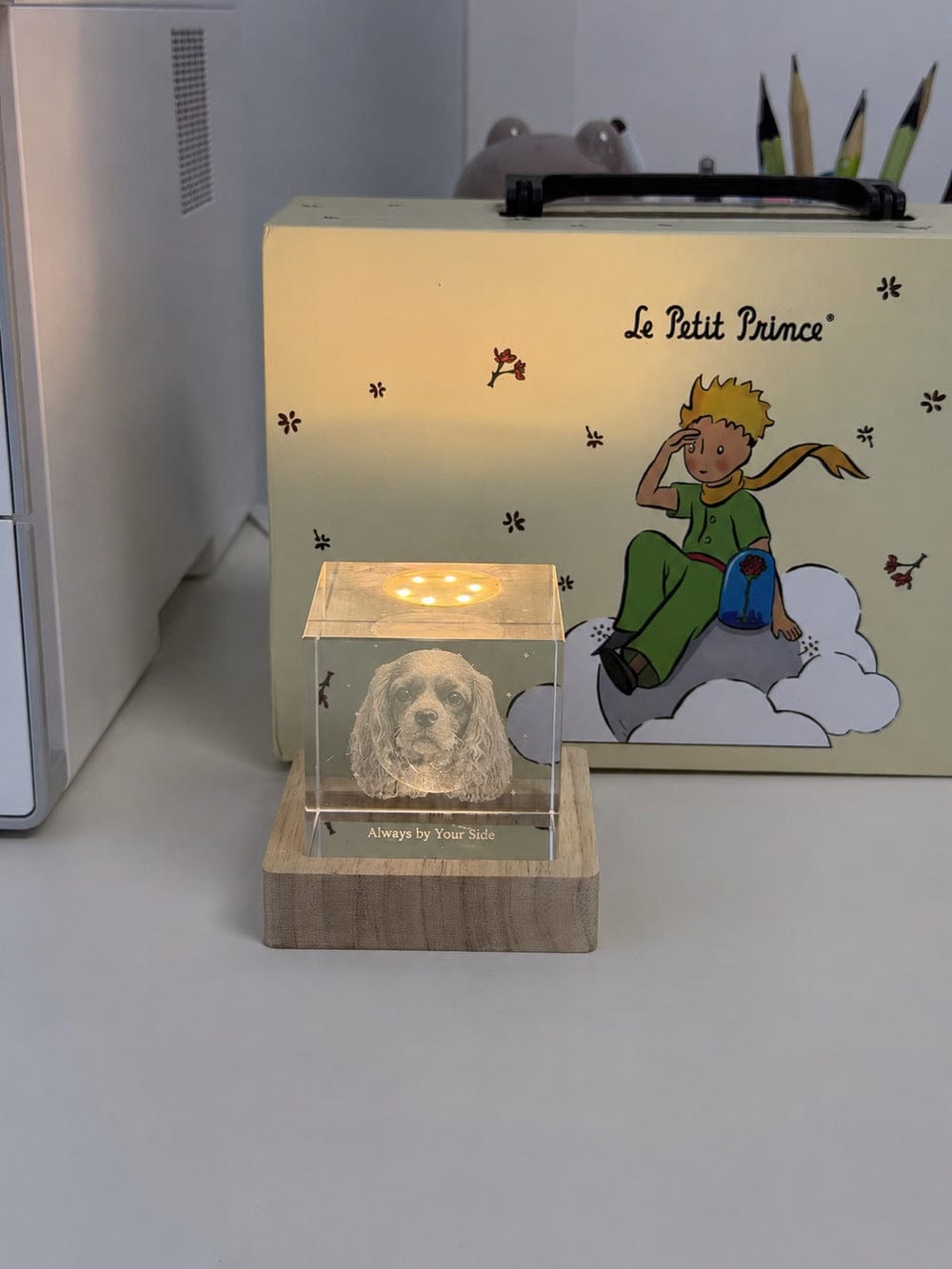 Customer photo review of 3D Pet Portrait Sculpting Crystal Night Light