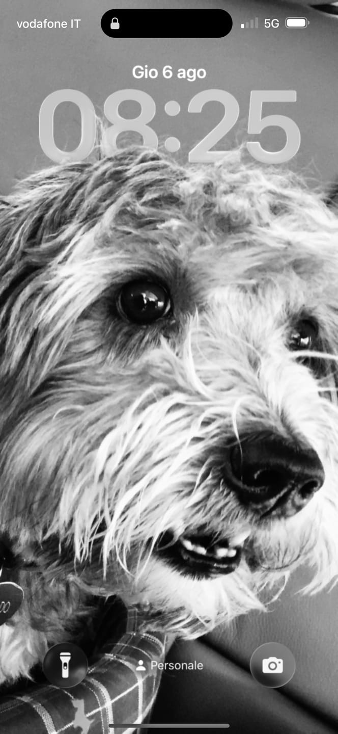 Customer photo review of ProtectionArtro+ 1200mg  Condroprotettore per Cani di taglia Media e Grande (Nuova Formulazione)