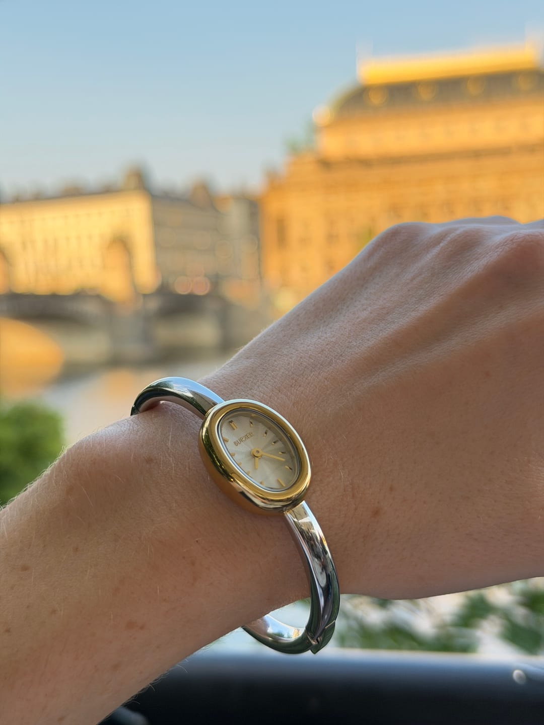 Customer photo review of Diana Petite Gold Silver