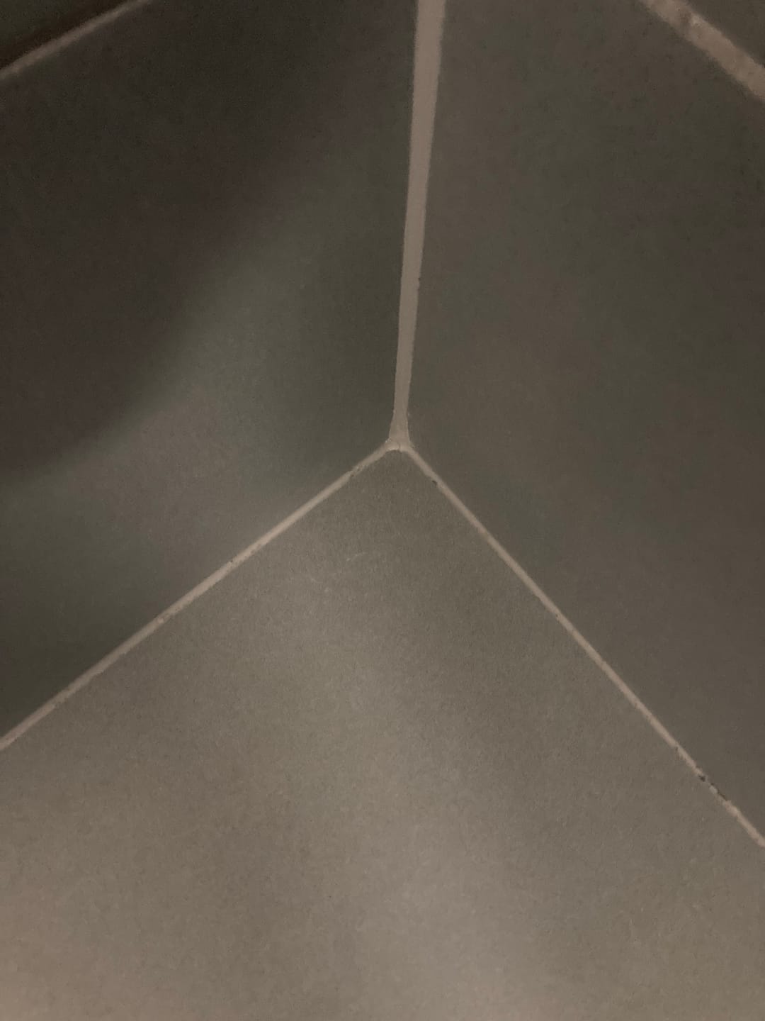 Customer photo review of GLASSGUARD® Miracle Mould Removal Gel