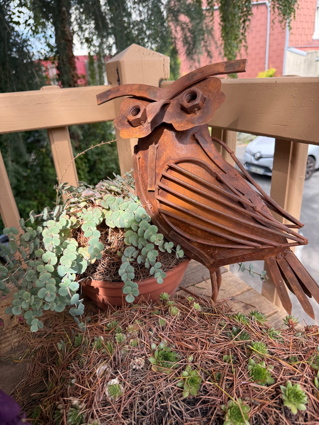 Customer photo review of Gufo Decorativo in Ferro Effetto Ruggine H.30 cm