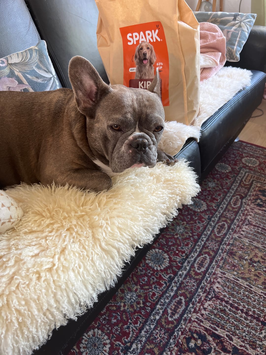 Customer photo review of V2.0 - Volwassen - Kip met Zoete Aardappel