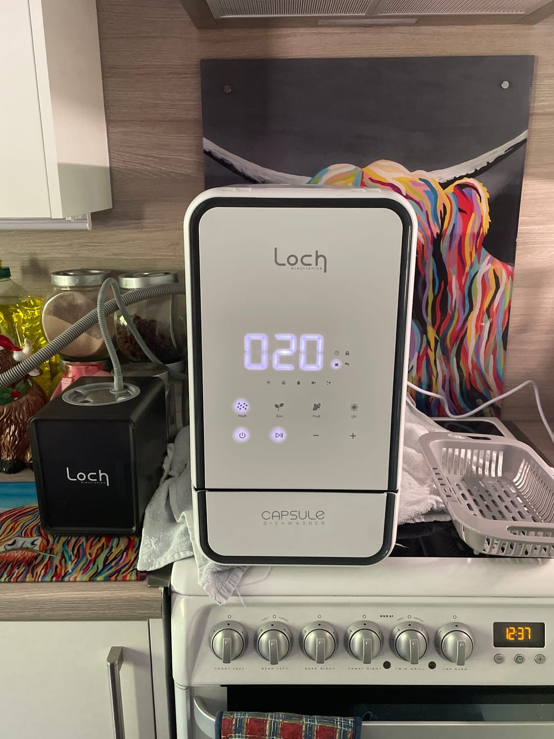 Customer photo review of Capsule Dishwasher