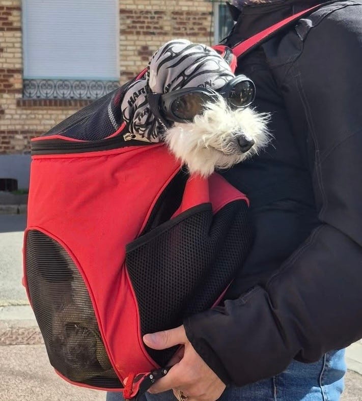 Customer photo review of Pâtée Volaille Fraîche & Légumes (x9) - Chien