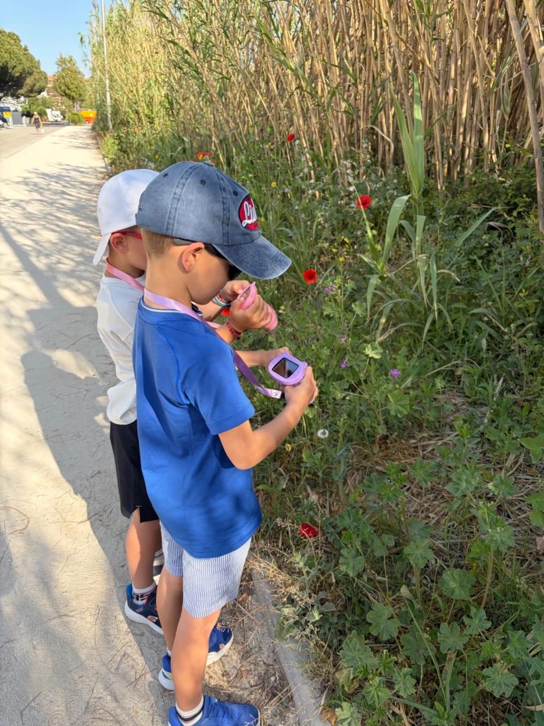 Customer photo review of Loomiko Scope™