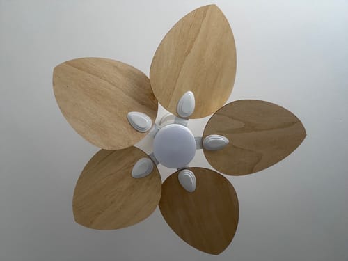 Customer's Dahlia teinté Chêne ventilateur de plafond vu du dessous, montrant les pales en bois clair.