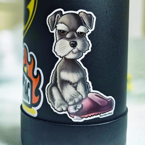 Customer photo review of 50 Custom 4" Laminated Vinyl Stickers