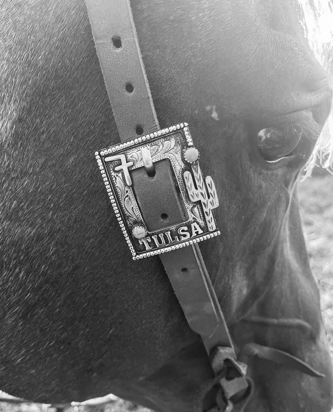 Customer photo review of Cart Buckle Style 01