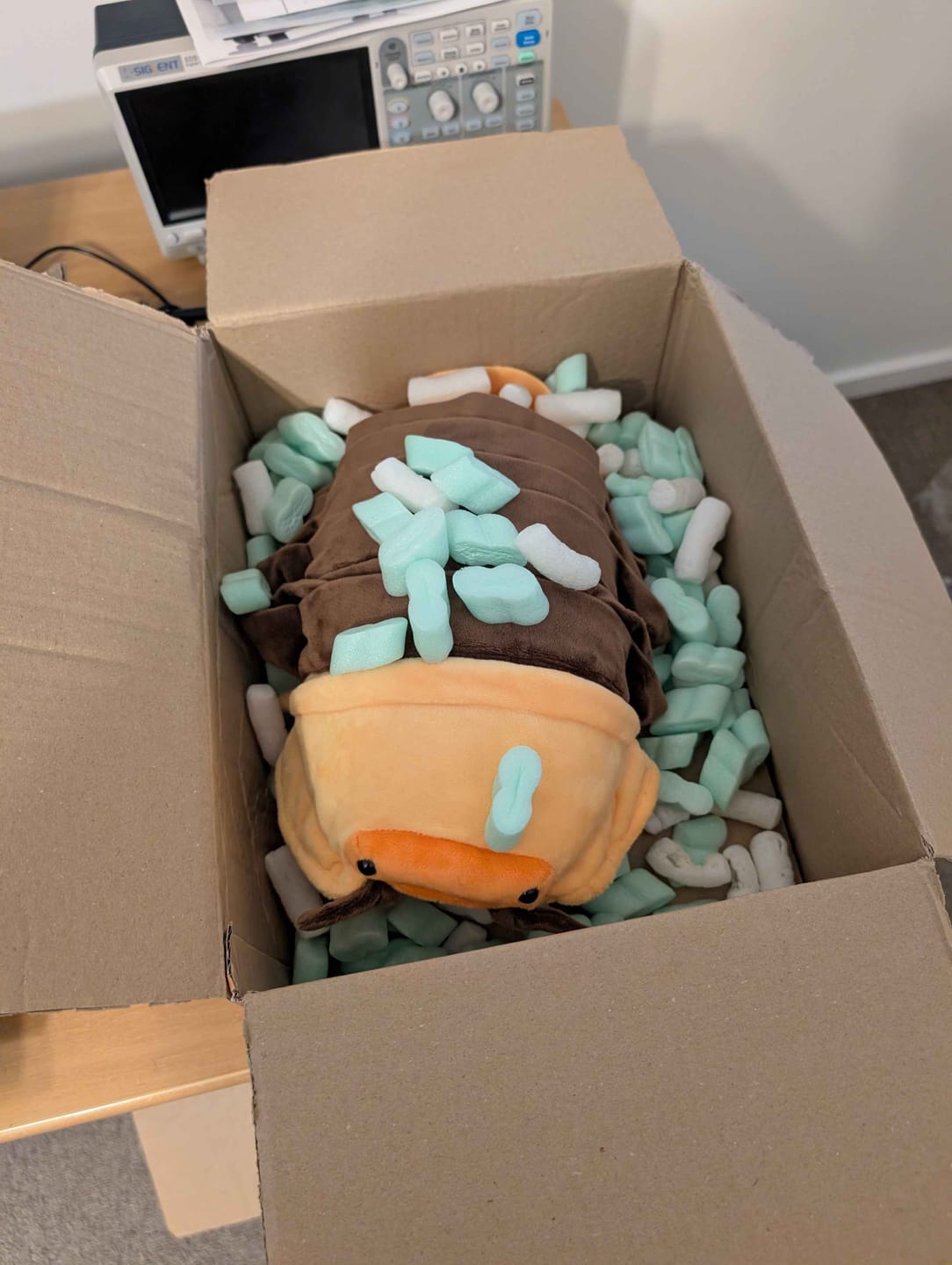 Customer photo review of Rubber Ducky Isopod Soft Stuffed Plush Toy