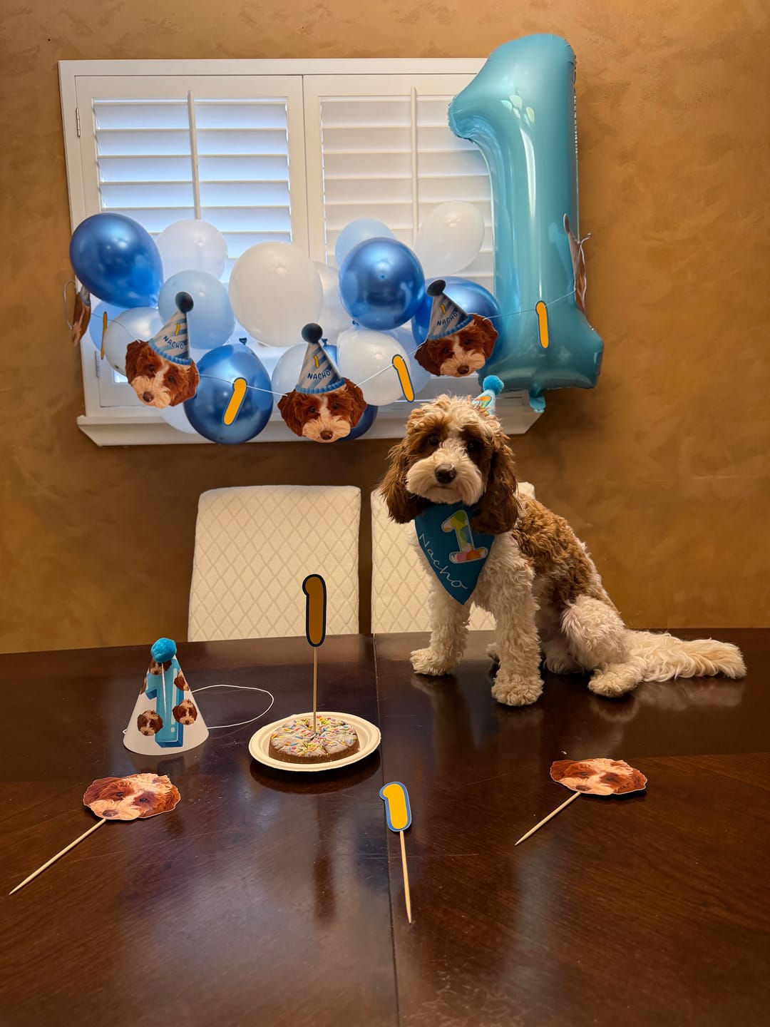 Customer photo review of Standard Personalized Dog Party Pack