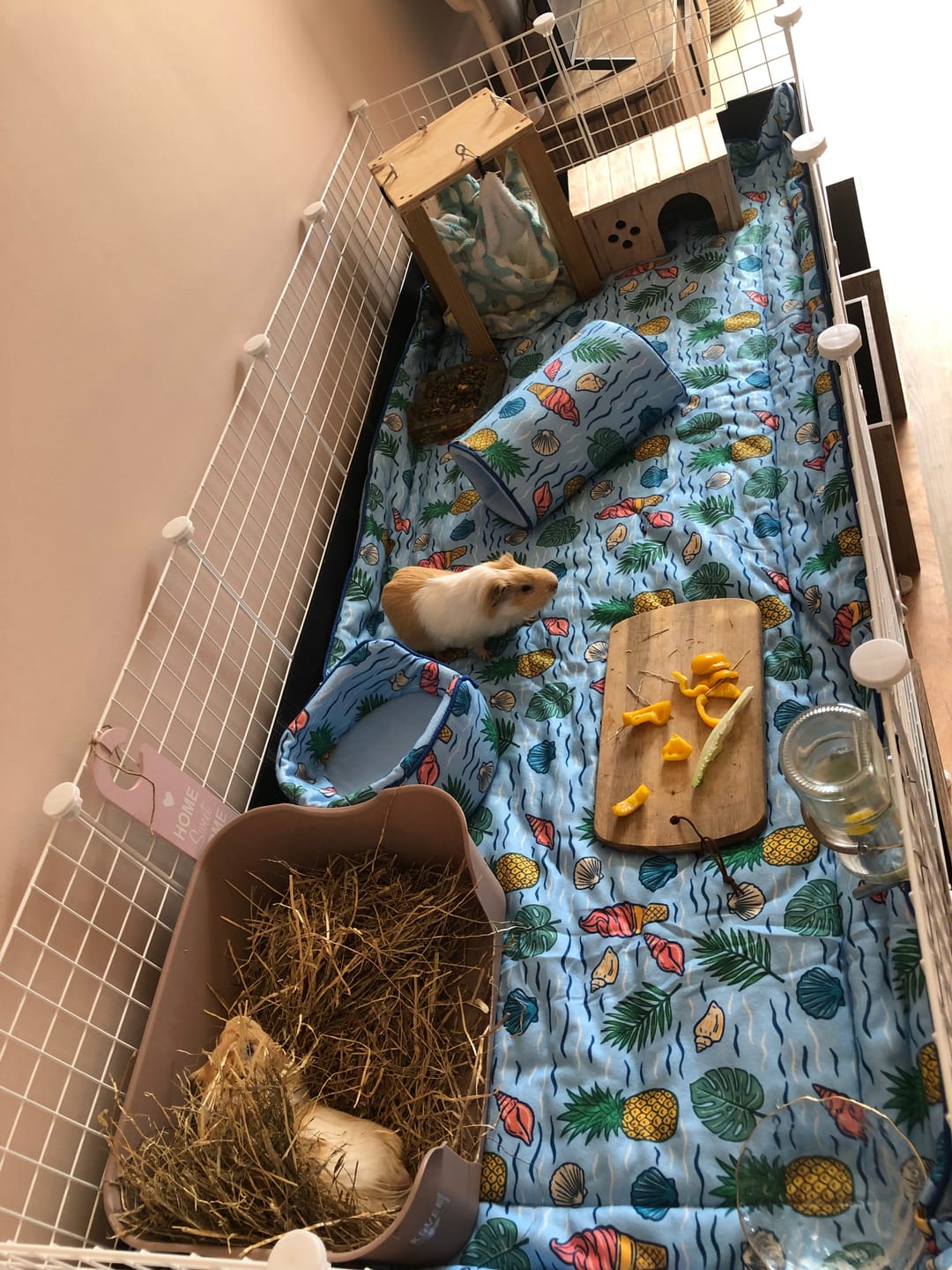 Customer photo review of The Fleece Liner | Coastal Collection