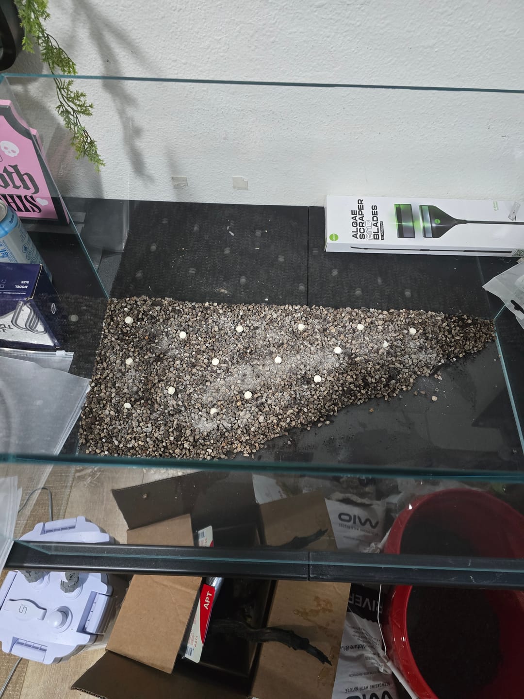 Customer photo review of Plant Growth Dark Florabed