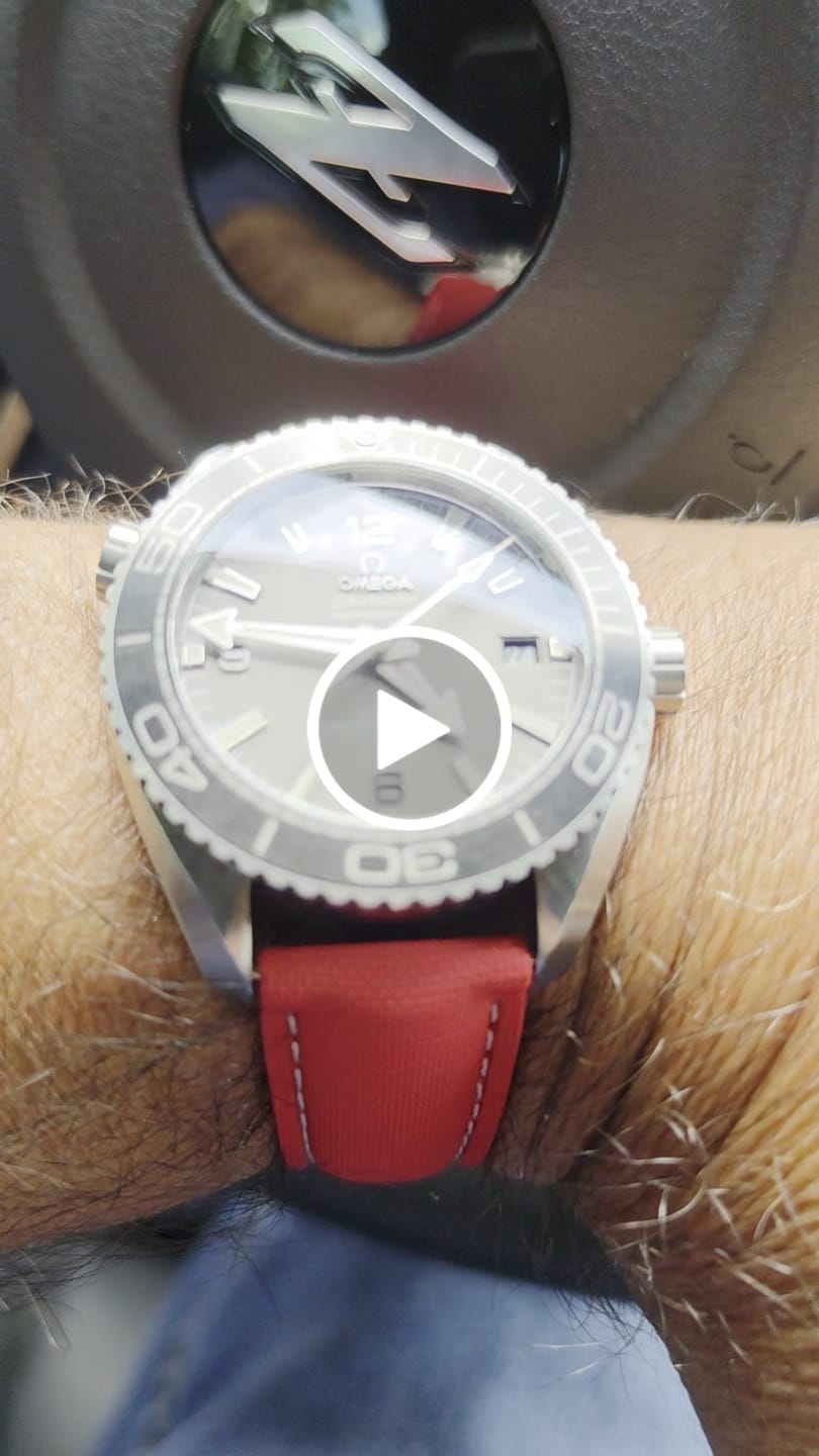 Customer video review of 🎁 The Pod - Travel Watch Case - Baby Blu (100% off)