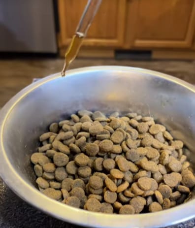 Customer photo review of Fórmula Veterinaria Natural para Eliminar Hongos en Perros.