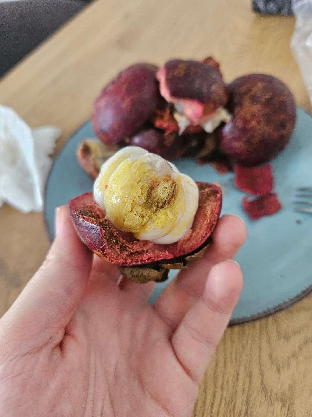 Customer photo review of Mangostan (Mangosteen) Sommeraktion %