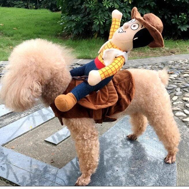Customer photo review of Cowboy costume