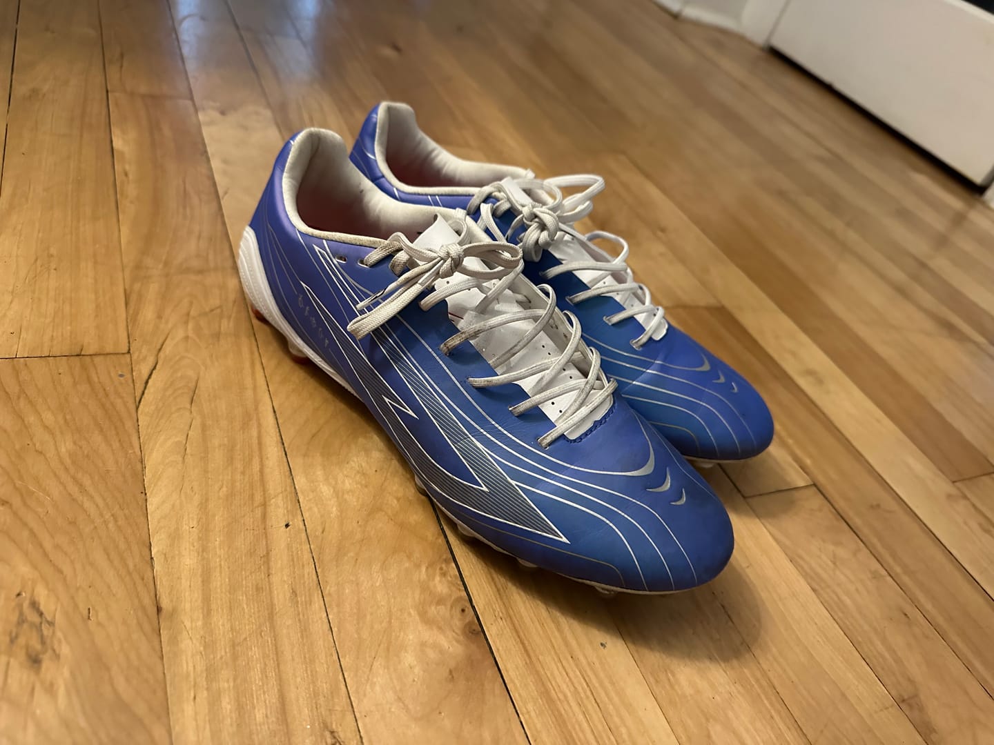 Customer photo review of Scudetta BioTouch AG
