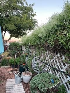 Customer photo review of HydraMist - 360 Flexible Garden Irrigation Kit